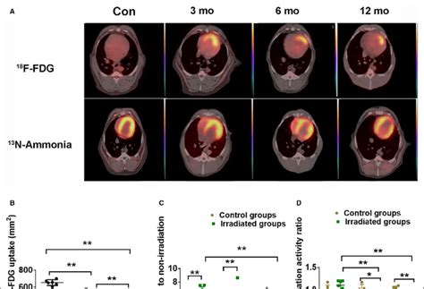 F Fdg And N Ammonia Pet Ct Infused Images Of Each Group And