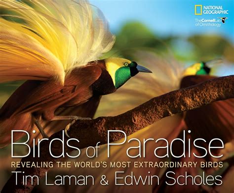 Amazon.com: Birds of Paradise: Revealing the World's Most Extraordinary ...