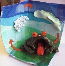 Diorama - The Life Cycle of a Frog