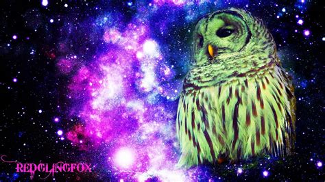 Cosmic Owl By Golenflyingfox On Deviantart