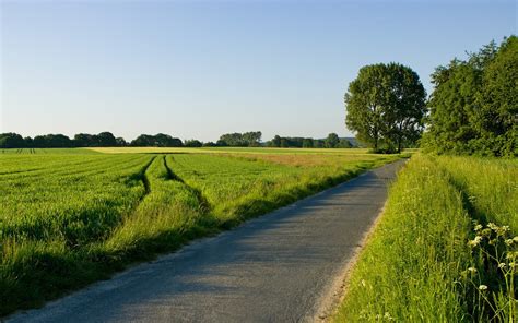 Nature Road Grass Wallpapers Hd Desktop And Mobile Backgrounds