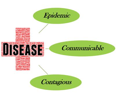 health  diseases types  diseases