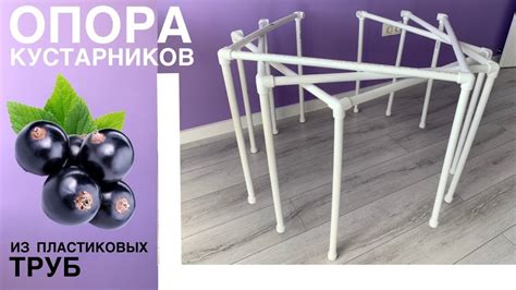 ОПОРА для кустов СМОРОДИНА & КРЫЖОВНИК - YouTube