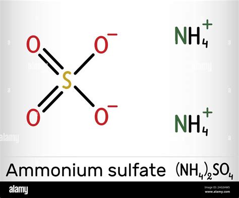 Ammonium Sulfate Lewis Structure