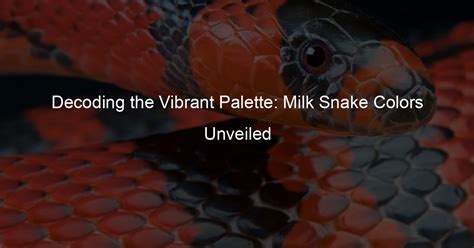 Decoding the Vibrant Palette: Milk Snake Colors Unveiled - My Milk Pet