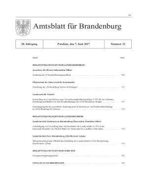 Ausfüllbar Online bravors brandenburg 5 Fortschreibung der IT Strategie