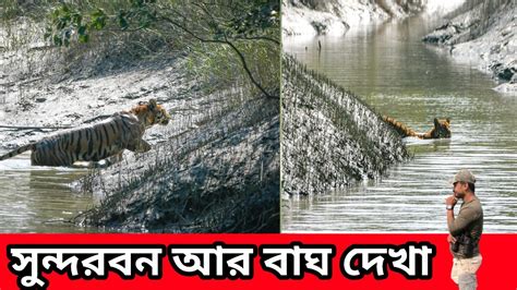 সুন্দরবন এ বাঘ দেখা Sundarban Tiger 🐅🐅 Youtube