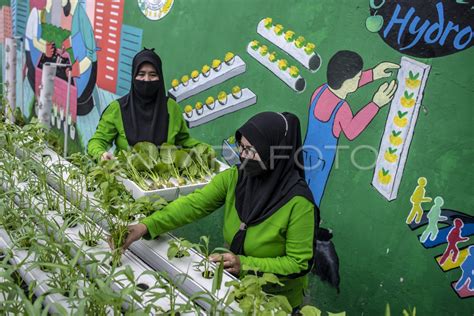 KEMENTAN DORONG PROGRAM GERAKAN P2L ANTARA Foto