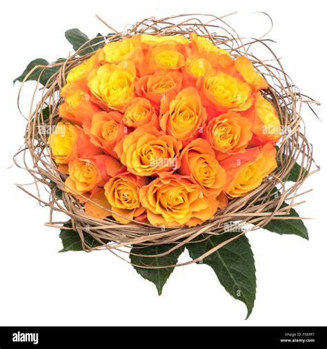 Bundle of roses hi-res stock photography and images - Alamy