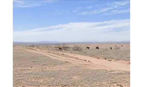 Unleash Your Freedom