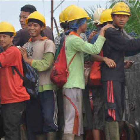 buruh sawit infosawit