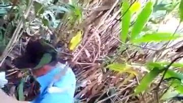 GUATEMALA PORN VIDEOS PORN300