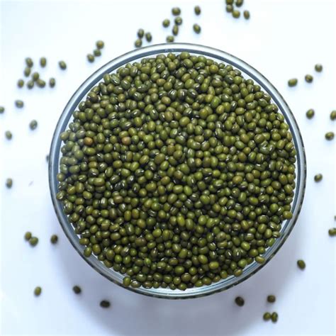 Organic Moong Bean Manufacturer & Wholesale Supplier