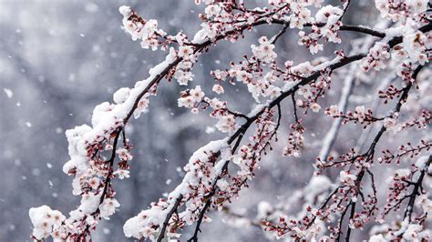 Winter Wetter F R Deutschland Polarluft Bringt Den Ersten Schnee