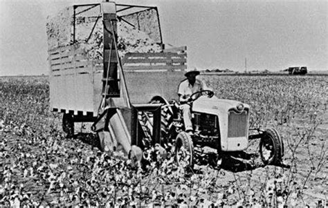 Cotton Picking Machine History Perla Hood