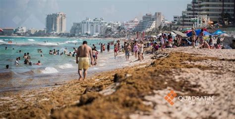 Playas de Cancún presentan nuevo recale de sargazo