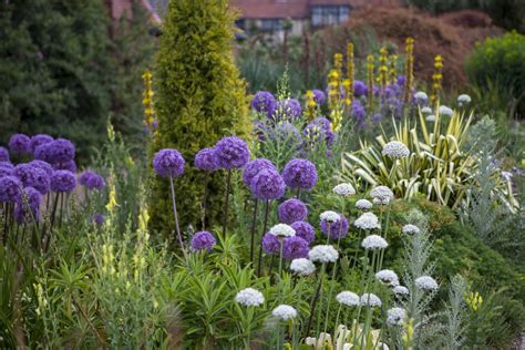 Putting Plants Together An Easy Guide The English Garden