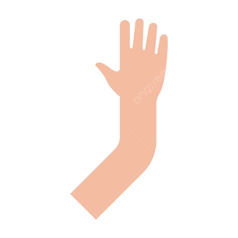 Hands Vector Free Download