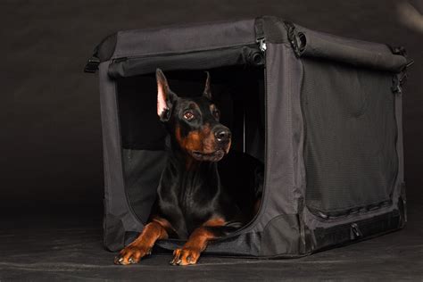 Dog crate covers: Best solution for YOUR dog - Petaholics