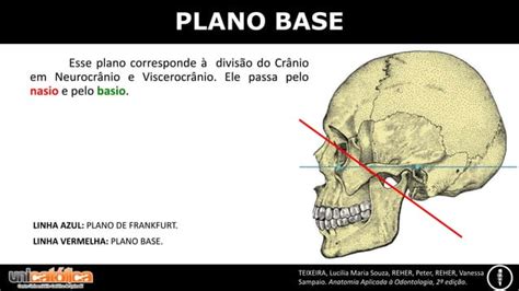 Generalidades Morfologia CabeÇa E PescoÇo