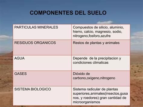 Diapositivas De Microbiologia Suelo Ppt