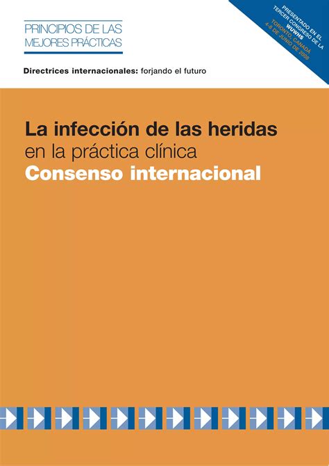 La Infeccion De Las Heridas En La Practica Clinica Pdf