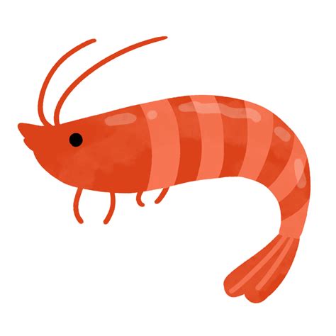 エビ のイラストまとめ。無料フリー素材で使えるかわいい手書きも - ONWAイラスト