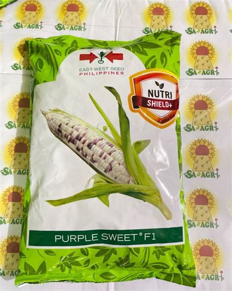 Purple Sweet F1 Hybrid Corn 1 Kilo By East West Seeds Lazada PH