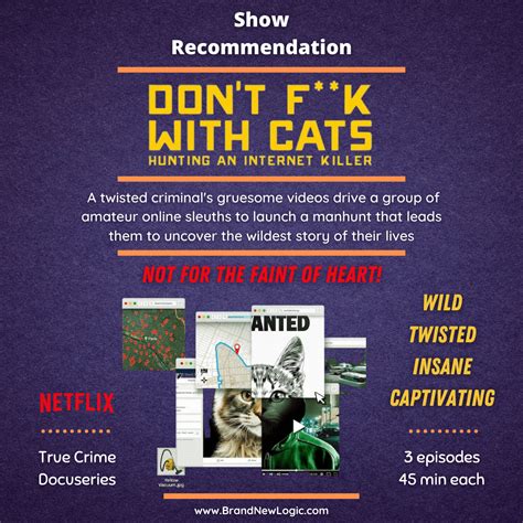 Don't Fuck With Cats : r/ShowRecommendation