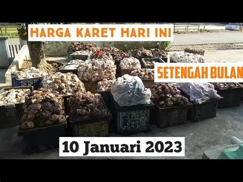 Harga Karet Hari Ini 10 Januari 2023 Petani Karet YouTube