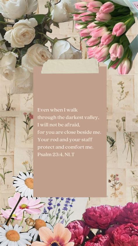 Check Out Maryharrison S Shuffles Bible Bibleverse Bibleaesthetic