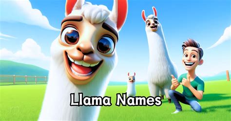 Best Pet Names for Llama in 2024