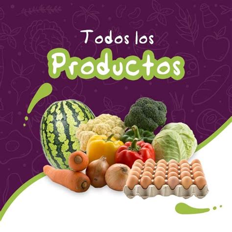 Todoslosproductos Escarola Alimentos Orgánicos A Domicilio