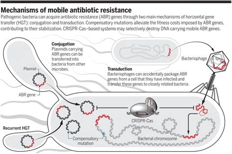 The evolution of antibiotic resistance - Biocidium Biopharmaceuticals Inc.