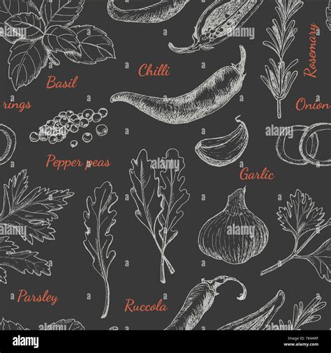 Rosemary Spices Stock Vector Images Alamy