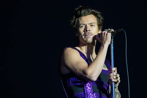 Harry Styles Goes Gay