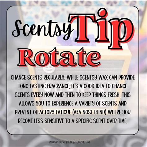 Pin By Mary Starcher On Scentsy Tips Scentsy Consultant Ideas