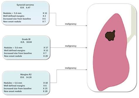 Jcm Free Full Text Clinical And Radiologic Features Together Better