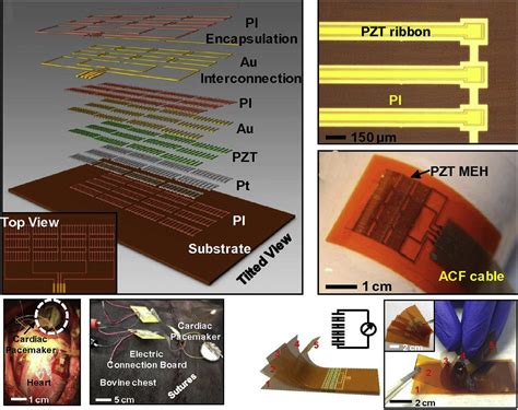 High Performance Piezoelectric Energy Harvesters And Their Applications