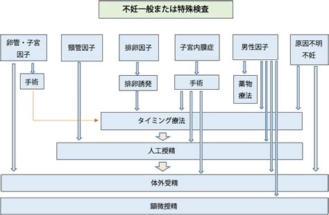 詳しく知りたい不妊治療：不妊治療｜生殖医療科 杉山産婦人科