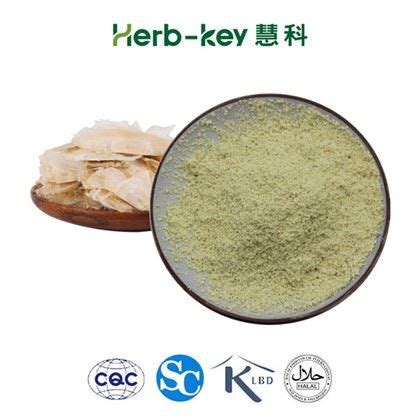 Best Chrysin Oroxylum Indicum Extract Chrysin Powder Suppliers