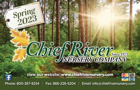 Bare Root Trees For Sale, Tree Seedlings For Sale, Tree Saplings For Sale - Chief River Nursery