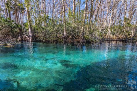 Silver River In Silver Springs State Park In Central Florida OC