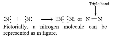 Triple covalent bond Chemistry, knowledgeuniverseonline.com