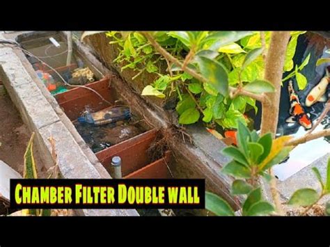 Keuntungan Chamber Filter Kolam Koi Sekat Keramik Double Wall Youtube