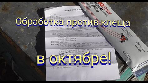 Осенняя обработка пчел против клеща. - YouTube