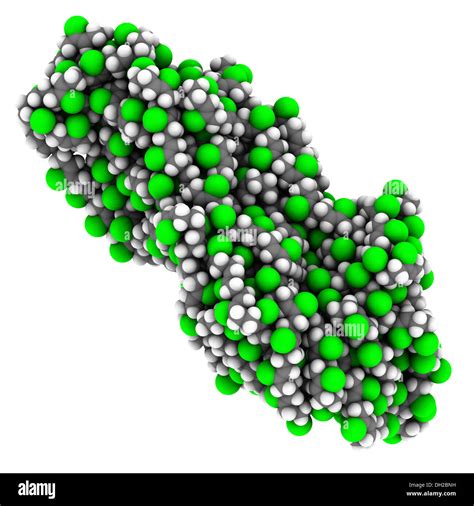 Neoprene Polychloroprene Synthetic Rubber Chemical Structure Atoms