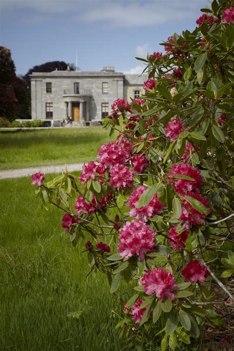 Arlington Court - National Trust - Home | Facebook