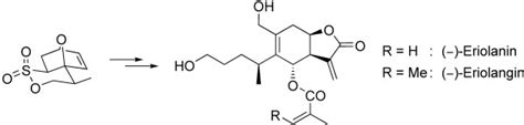 Enantioselektive Totalsynthese Der Hoch Oxygenierten 1 10seco