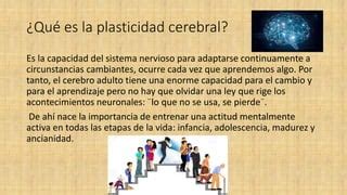 Neurodesarrollo Y Plasticidad Cerebral Ppt